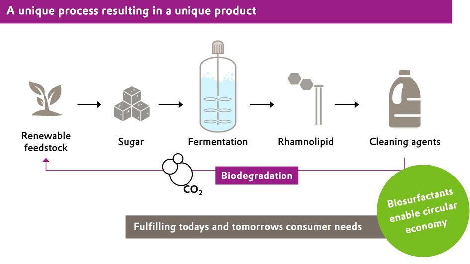 REWOFERM® RL 100 production process